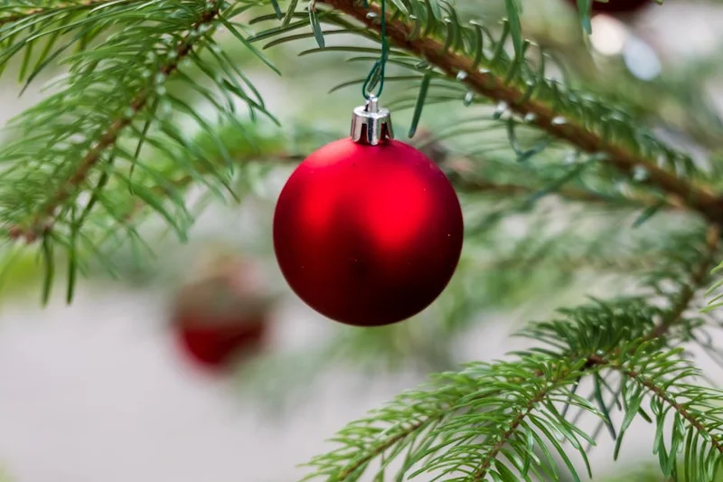 미라클 모닝 효과 (새해 다짐과 연관)