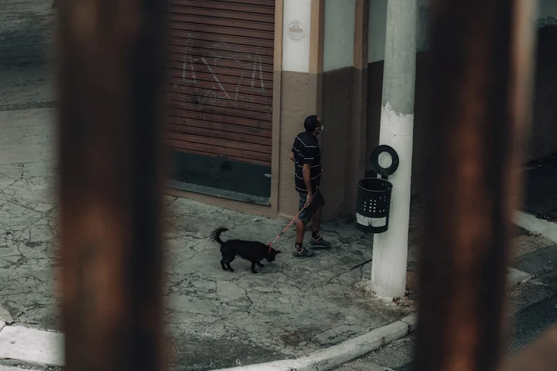 반려동물 돌봄/산책 대행 앱: 낯선 사람에게 우리 강아지를 맡겨도 될까? (펫시터 검증 시스템 확인 및 CCTV 필수)