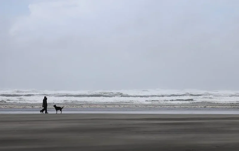 반려동물 돌봄/산책 대행 앱: 낯선 사람에게 우리 강아지를 맡겨도 될까? (펫시터 검증 시스템 확인 및 CCTV 필수)