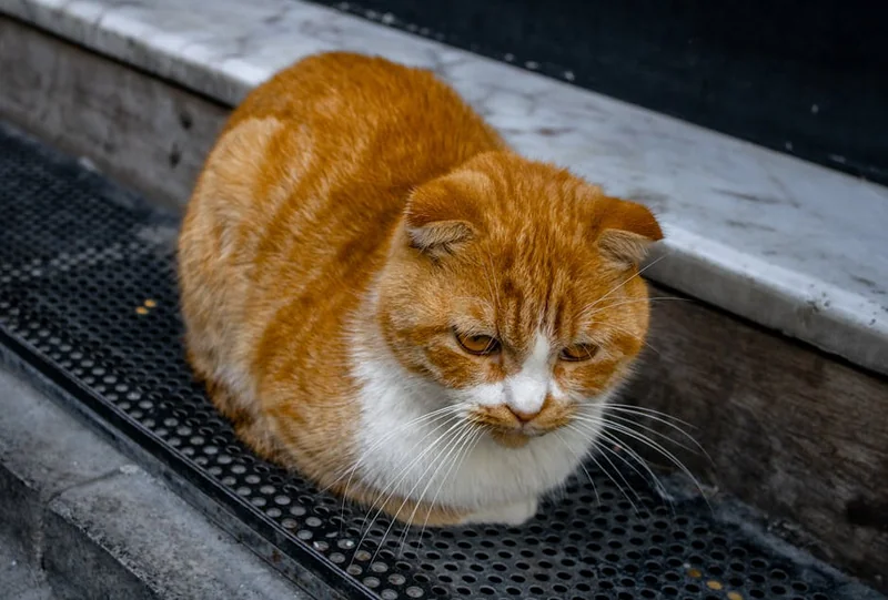 경제적 독립을 위한 단계별 로드맵